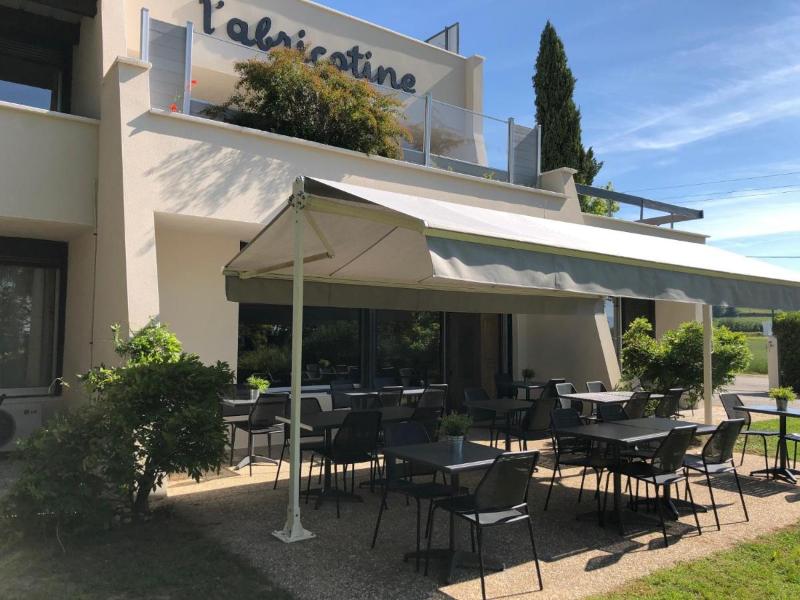 Logis Hôtel l'Abricotine - Teras