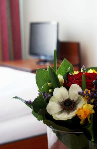 Drei Kronen Hotel Wien City fotoÄŸrafÄ±