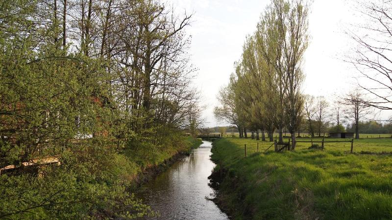 Brackstedter Mühle - Aktivite