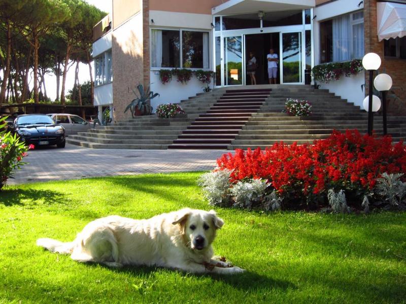 Beau Rivage Pineta - Genel