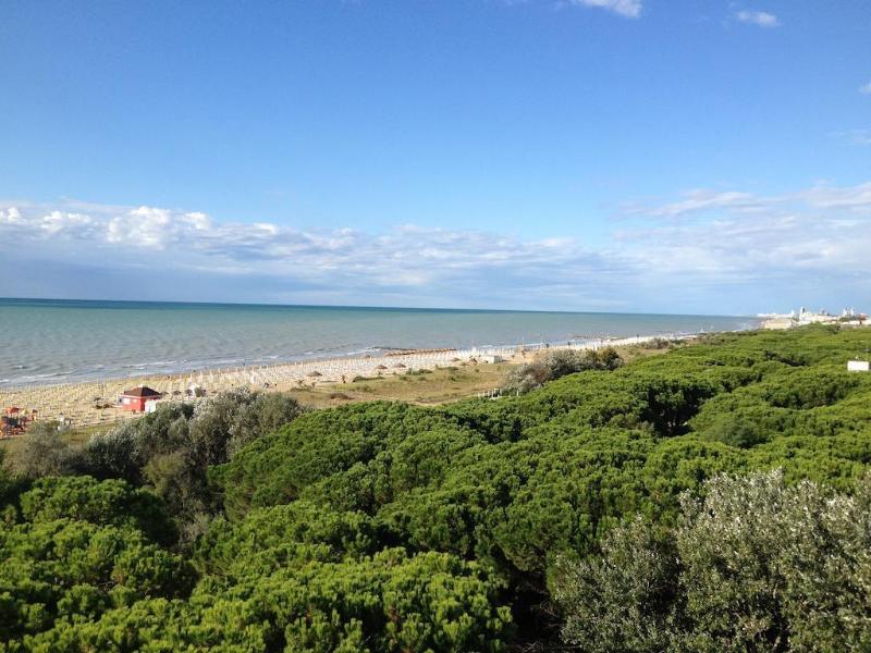 Beau Rivage Pineta - Genel