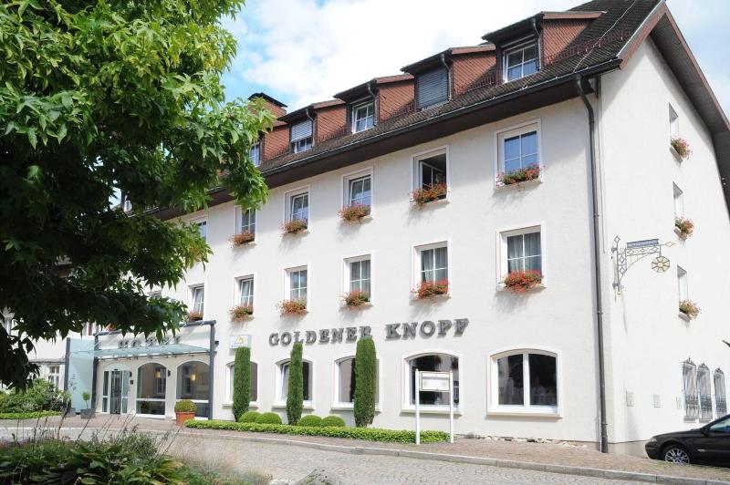 Hotel Goldener Knopf - Genel