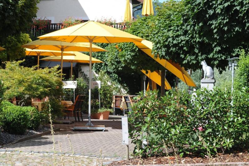 Hotel Goldener Knopf - Genel