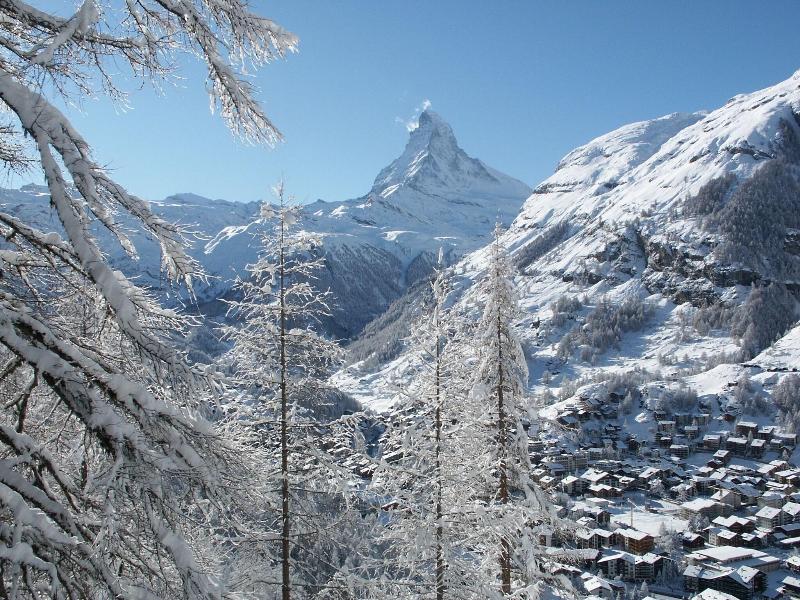 Alpenhotel Fleurs de Zermatt - Aktivite