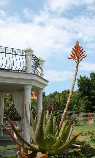 Villa Mandolina Apartments fotoÄŸrafÄ±