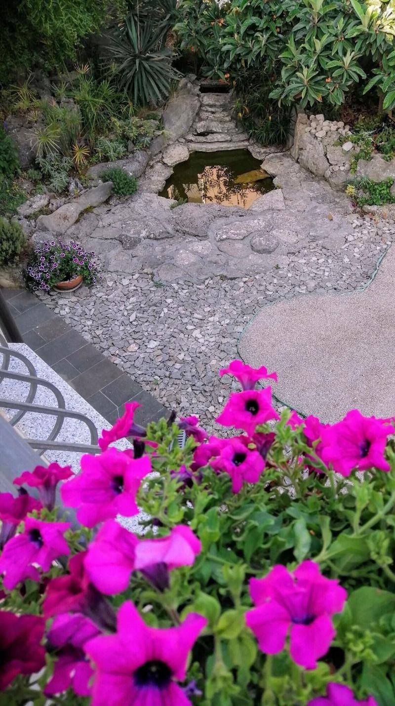 Villa Mandolina Apartments - Genel