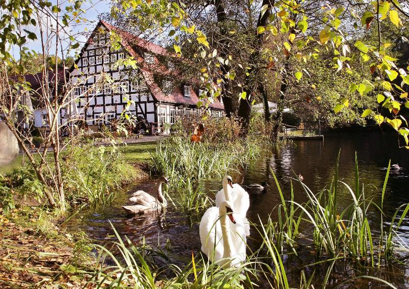Springbachmühle - Genel