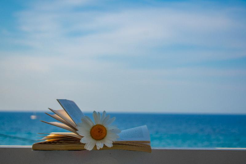 Agoulos Beach Hotel - Genel