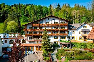 Schwarzwaldhotel Holzschuhs otel fotoğrafı