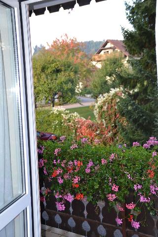 Gasthaus Auerhahn fotoÄŸrafÄ±