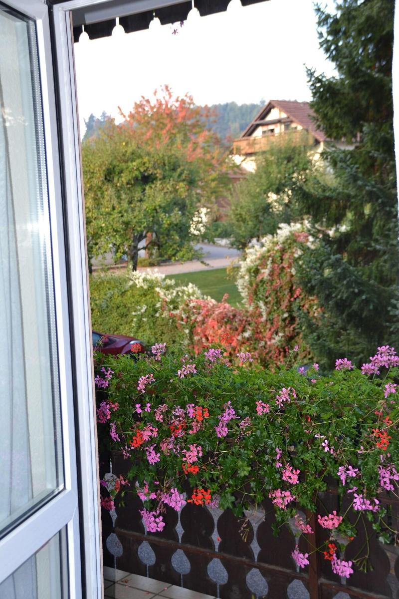 Gasthaus Auerhahn - Oda