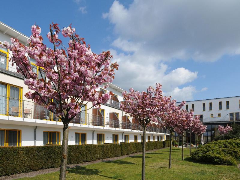 Vier Jahreszeiten Zingst - Teras