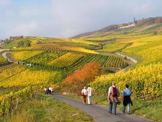 Lindenwirt fotoÄŸrafÄ±