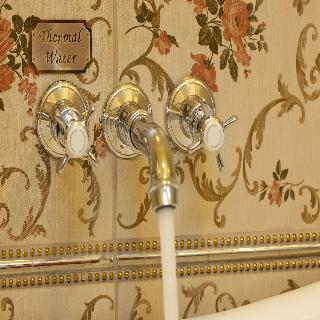 Limak Thermal Boutique Hotel fotoÄŸrafÄ±
