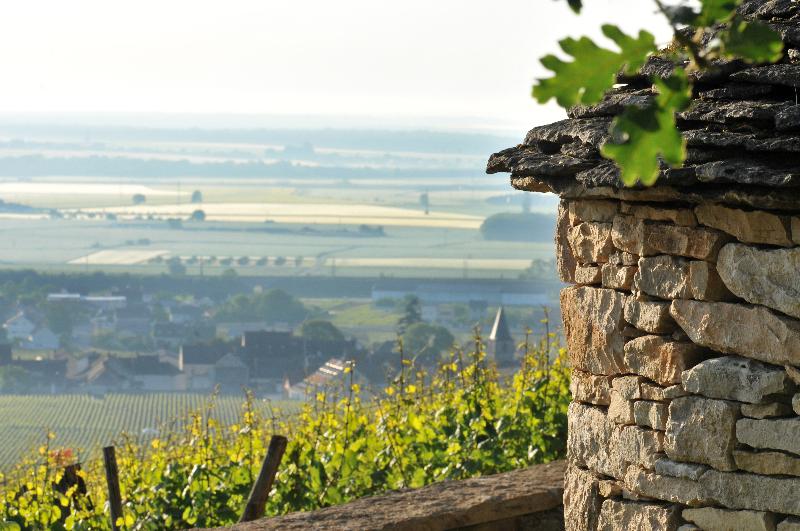 Le Richebourg - Genel