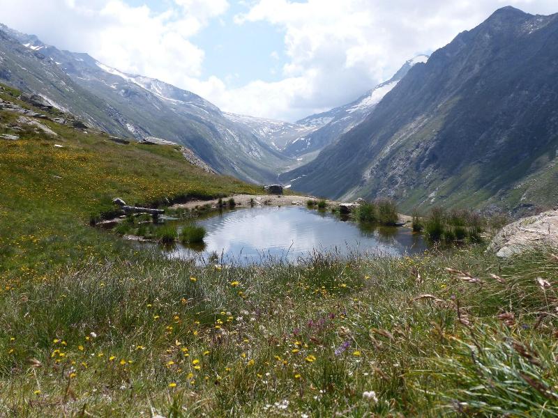 Hotel Kristall - Saphir - Oda