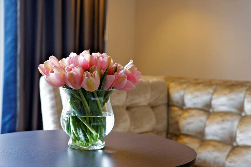 Dorint Hotel Bonn - Oda