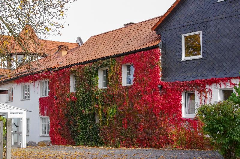 Kains Hof - Genel