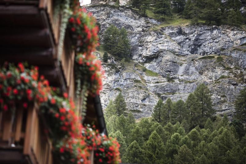 Hotel Continental - Teras