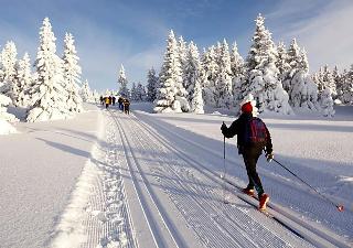 JUFA Eisenerzer Ramsau Almerlebnisdorf fotoÄŸrafÄ±