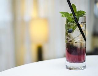 Le Méridien Parkhotel Frankfurt fotoÄŸrafÄ±