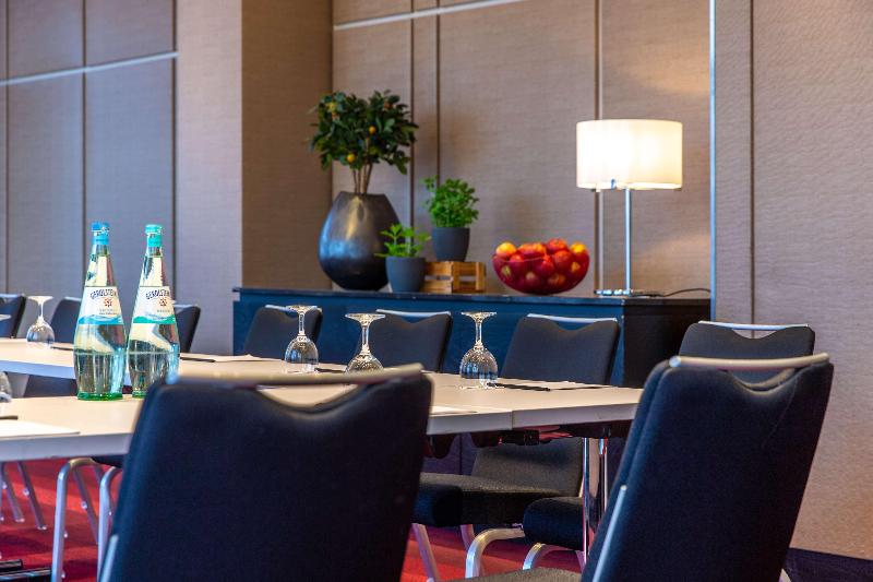 Radisson Blu Hotel, Hamburg - Toplantı