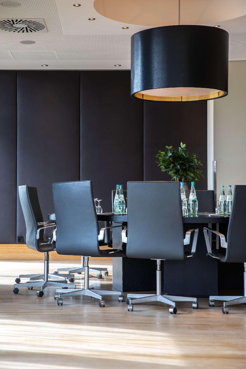 Radisson Blu Hotel, Hamburg - Toplantı