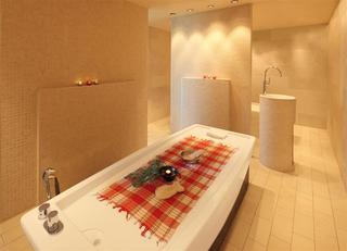 Four Points by Sheraton Panoramahaus Dornbirn fotoÄŸrafÄ±