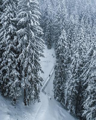 Alpinresort Damüls fotoÄŸrafÄ±