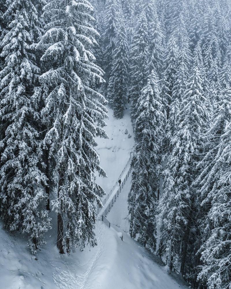 Alpinresort Damüls - Aktivite