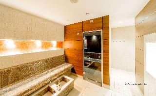 Dorint Herrenkrug Parkhotel Magdeburg fotoÄŸrafÄ±