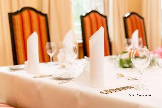 Dorint Herrenkrug Parkhotel Magdeburg fotoÄŸrafÄ±