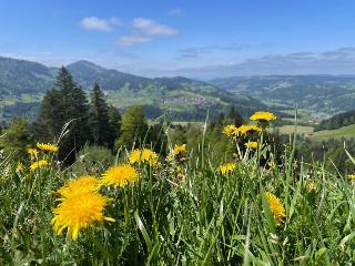 Lindner Oberstaufen Park, part of JdV by Hyatt fotoÄŸrafÄ±