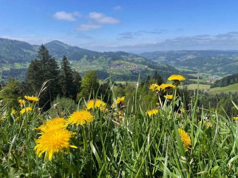 Lindner Oberstaufen Park, part of JdV by Hyatt - Genel