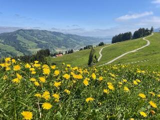 Lindner Oberstaufen Park, part of JdV by Hyatt fotoÄŸrafÄ±
