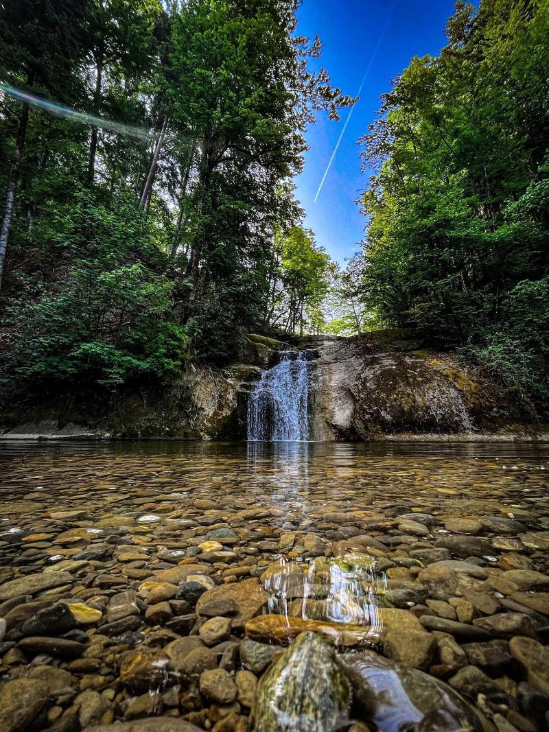 Lindner Oberstaufen Park, part of JdV by Hyatt - Genel