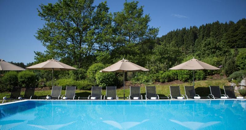Lindner Oberstaufen Park, part of JdV by Hyatt - Havuz