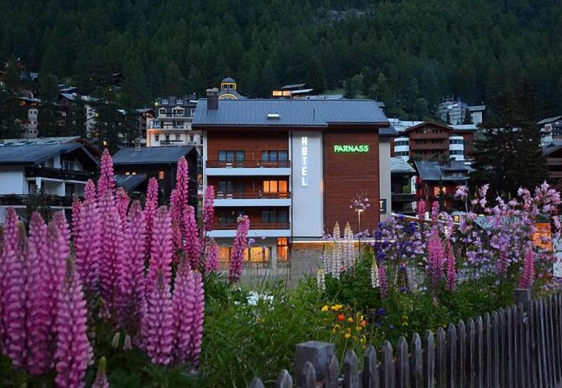 Hotel Parnass - Genel