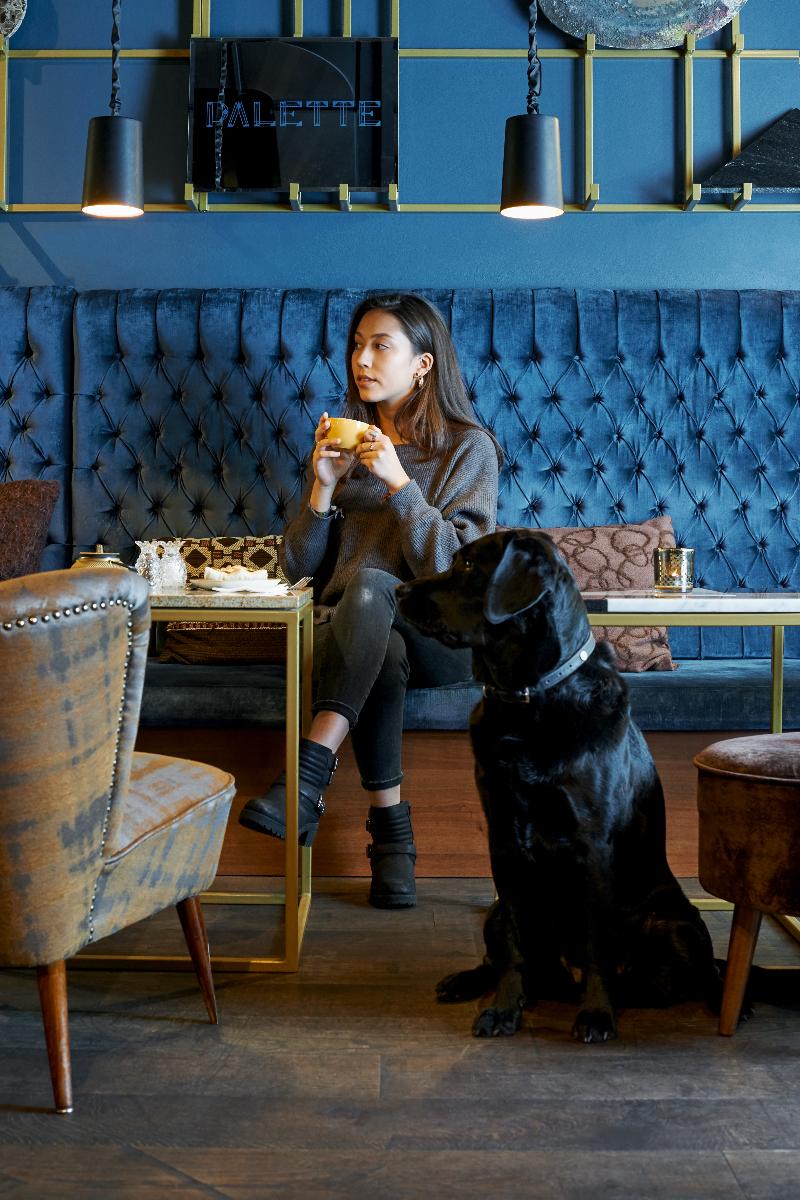 Townhouse Boutique Hotel - Bar