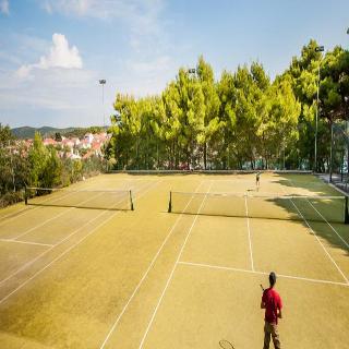 Agava fotoÄŸrafÄ±