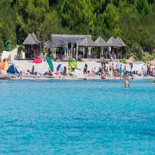Agava fotoÄŸrafÄ±