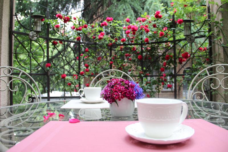 Iliani Hotel - Genel