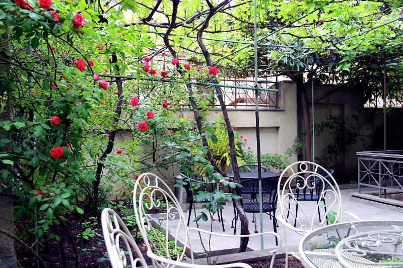 Iliani Hotel - Teras