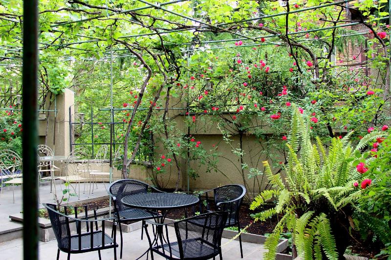 Iliani Hotel - Teras
