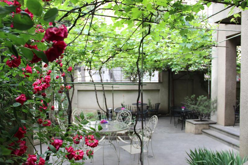 Iliani Hotel - Teras