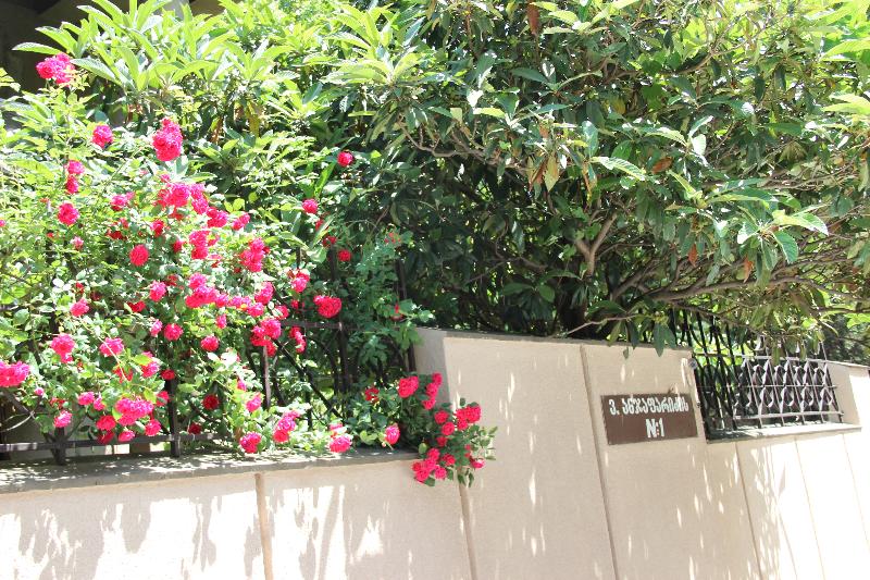 Iliani Hotel - Teras