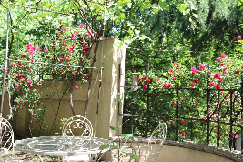 Iliani Hotel - Teras