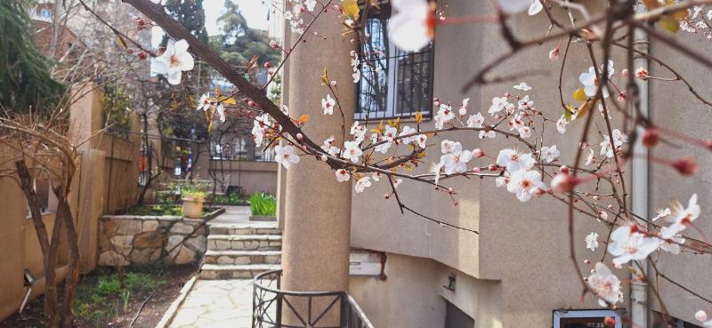 Iliani Hotel - Teras