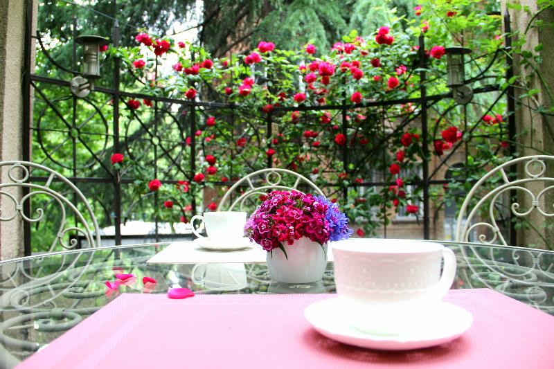 Iliani Hotel - Teras