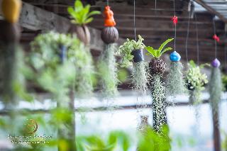Salakphet Resort fotoÄŸrafÄ±